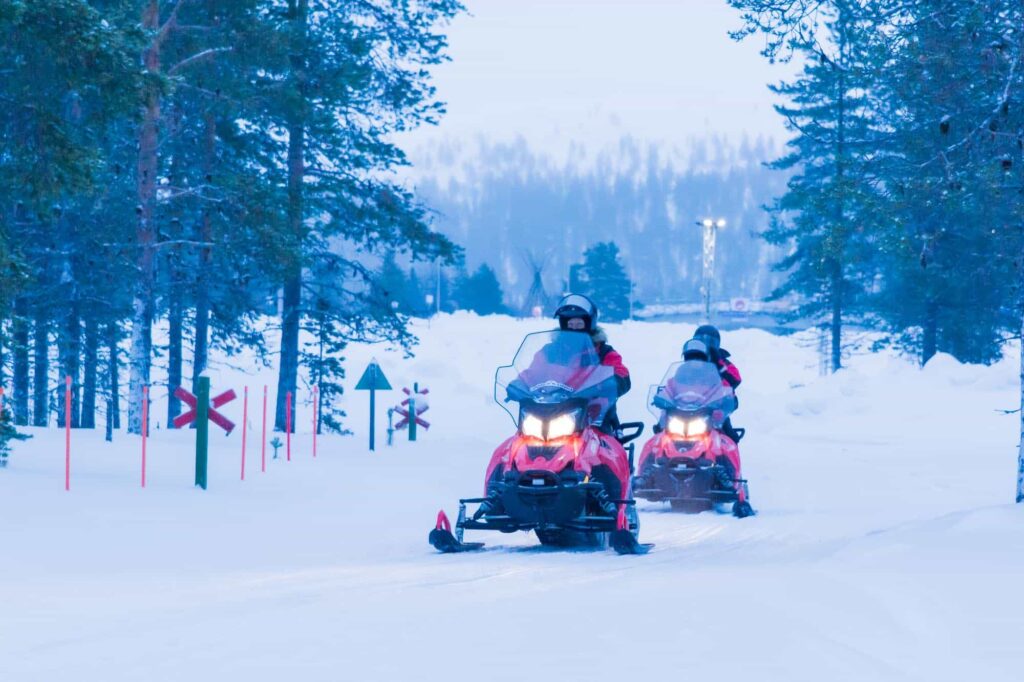 Snowmobile safari