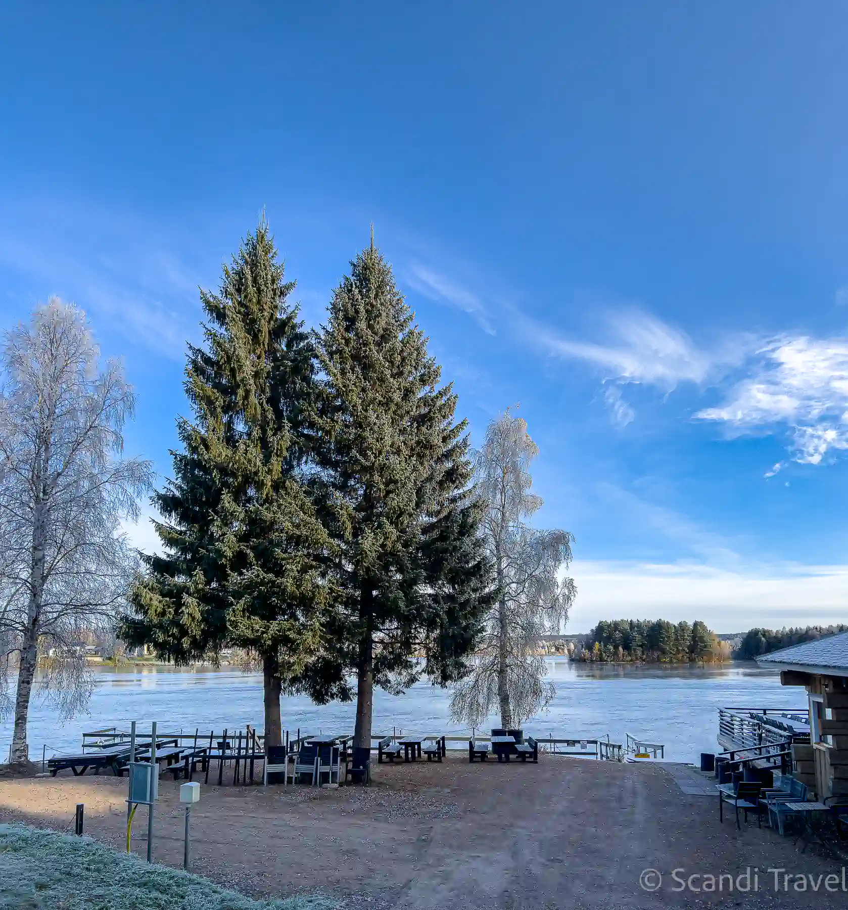 Frost-covered birches and tall spruces on the riverbank in Rovaniemi, Finnish Lapland, under a clear blue sky