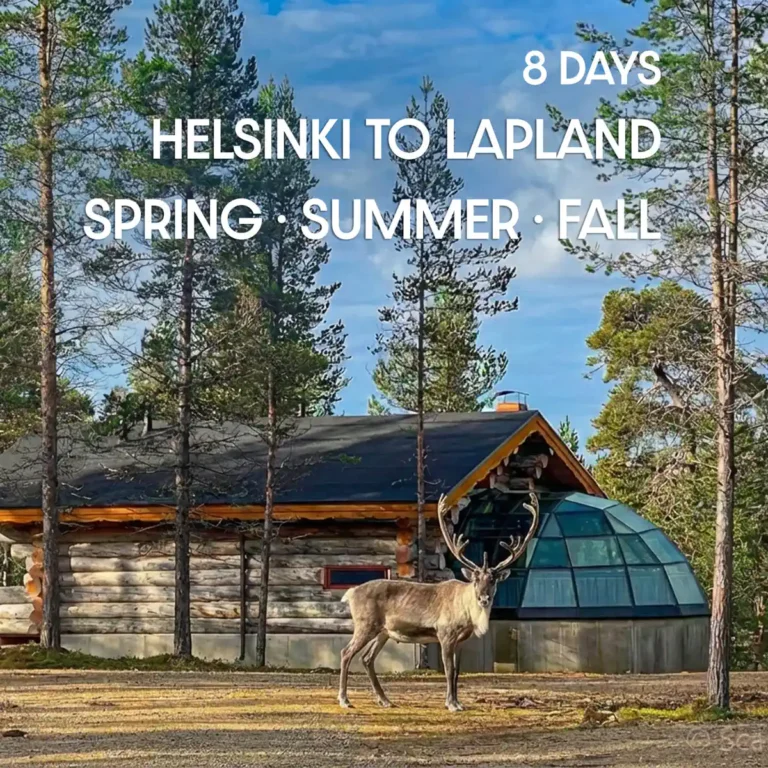 Reindeer standing by a traditional log cabin and glass igloo in Lapland – 8-day Finland tour package for spring, summer, and autumn.