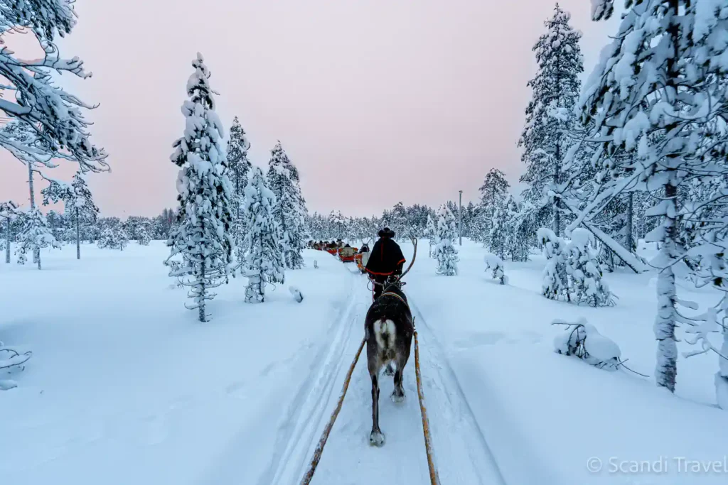 Guide to Visiting Lapland in Winter