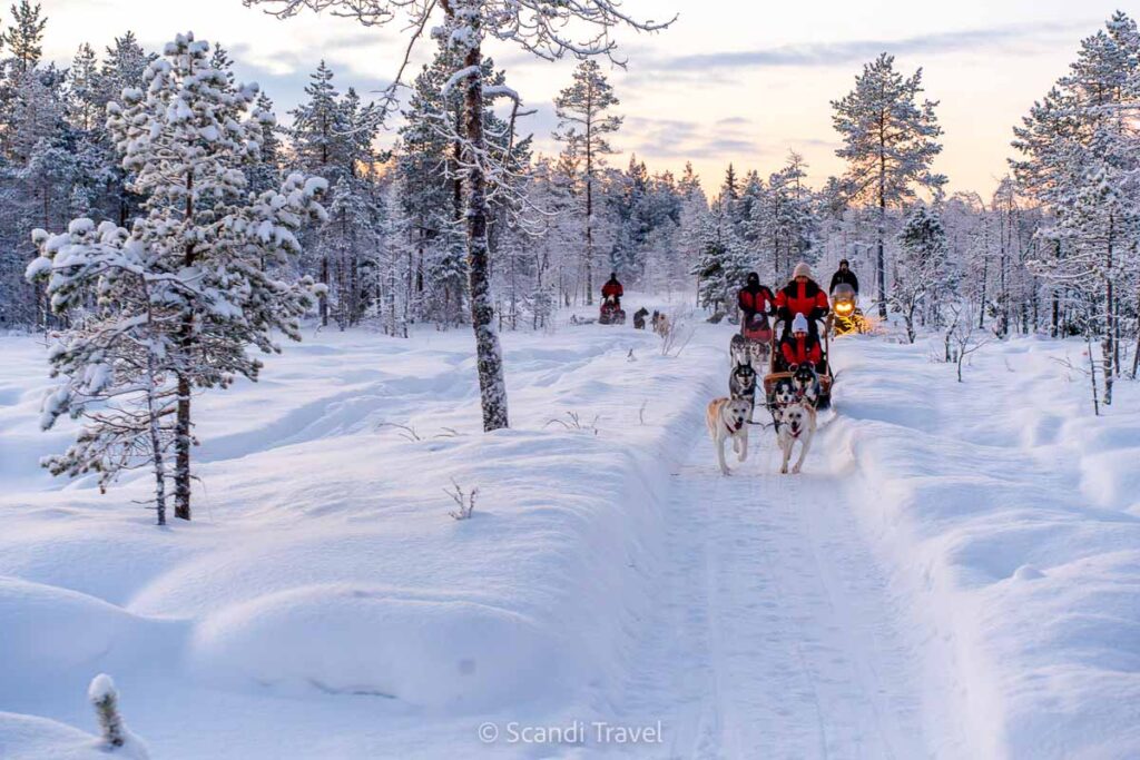 Husky safari, reindeer sleigh and snowmobile — three Lapland winter activities on a Scandi Travel tour