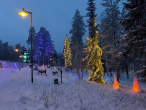 Snow-covered pine forest and frozen lake in Finnish Lapland at dusk, representing Scandi Travel's Lapland winter tour packages