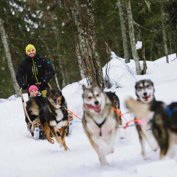 huskies-1