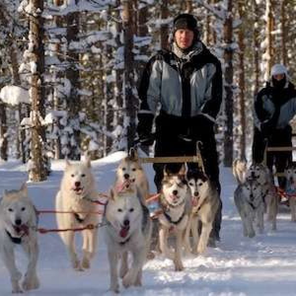 huskyis