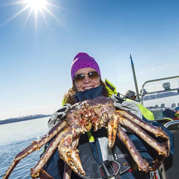 king-crab