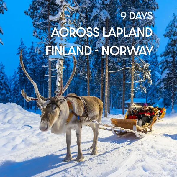 Reindeer sleigh ride through snowy Lapland forest in Finland and Norway