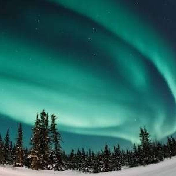 northlight6 (1)