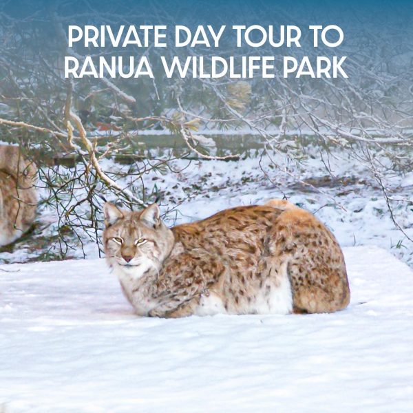 ranua-zoo-private-day-trip-rovaniemi