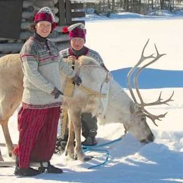 reindeerfarm4 (1)